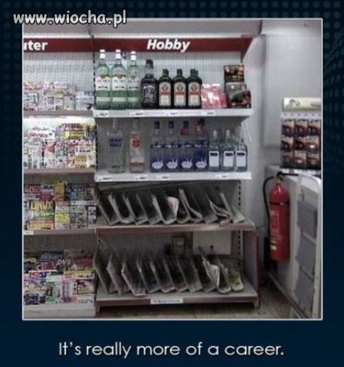 Co można znaleźć w dziale "hobby"?