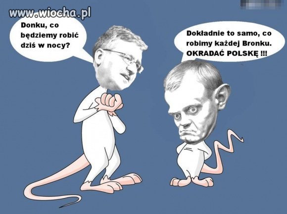 Z życia wzięte ...