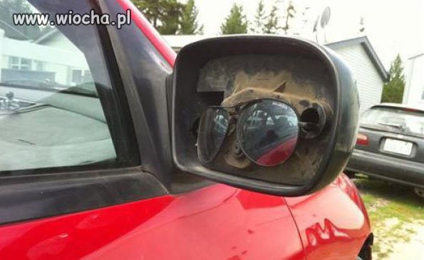 Znalazło się rozwiązanie
