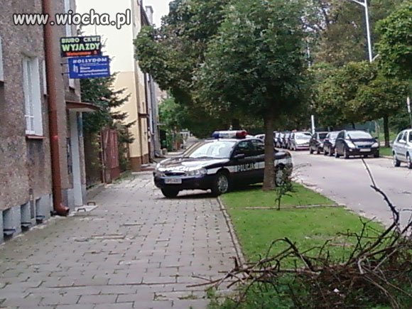 Za drzewkiem się schowali i myślą że ich