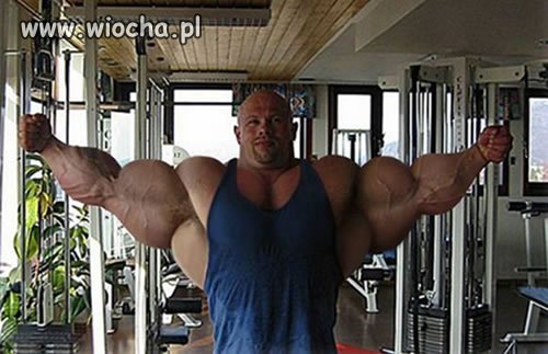 Ludzik Michelina
