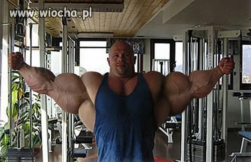Ludzik Michelina