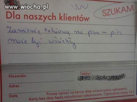 Ktoś chętny 