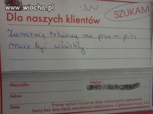 Ktoś chętny 