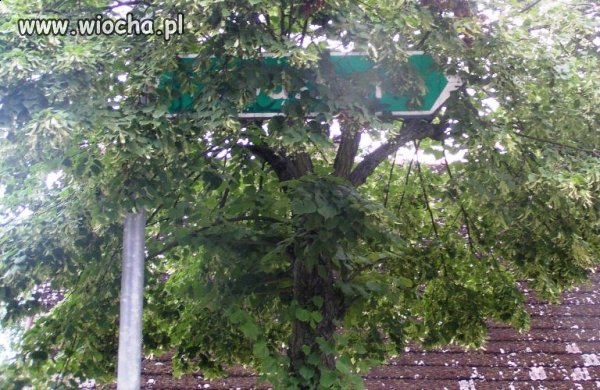 I skąd mam wiedzieć gdzie jechać?
