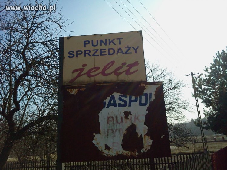 Może jelitko? 