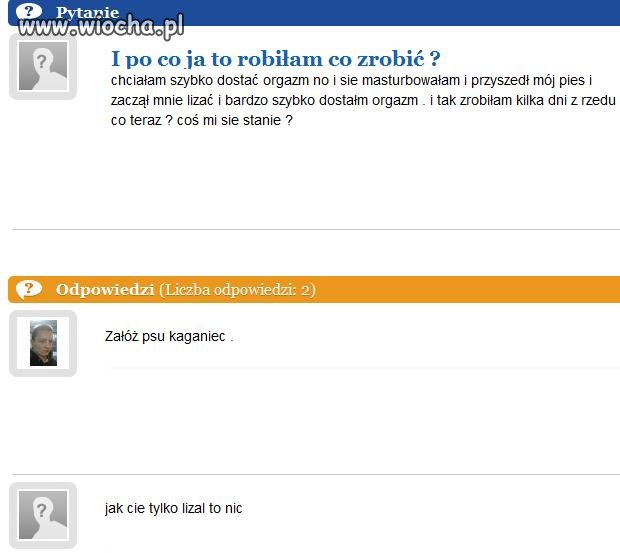 Biedy, pies do czego ona go wykorzystuje ...