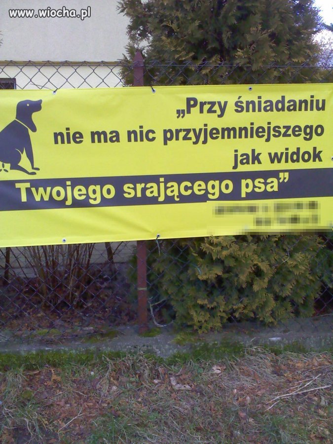 Wiocha
