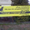 Wiocha