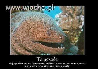 To ''uczóće''