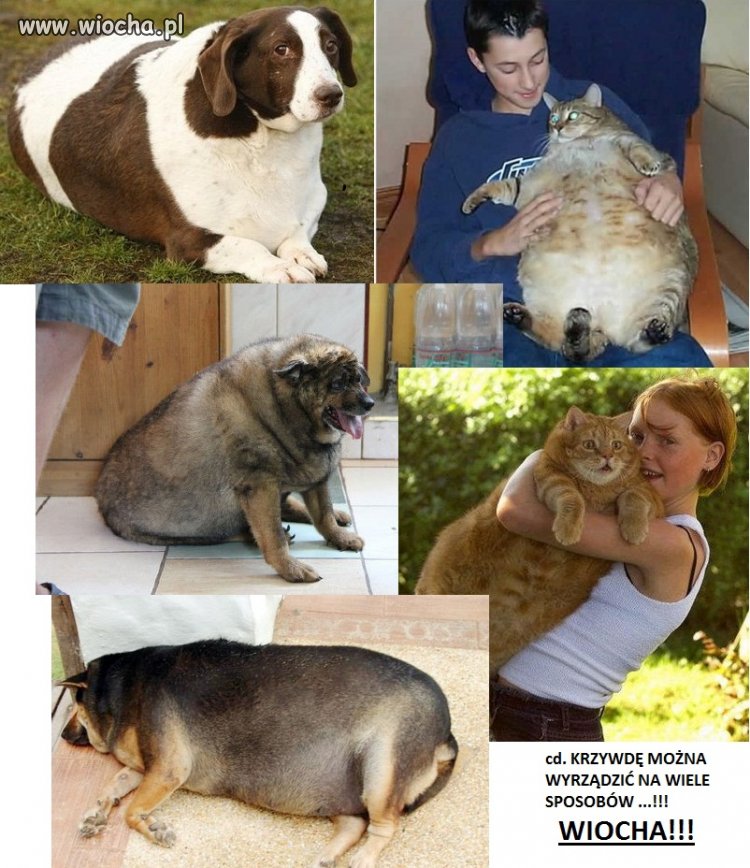 DALEJ UWAŻACIE, ŻE TO PHOTOSHOP??!!