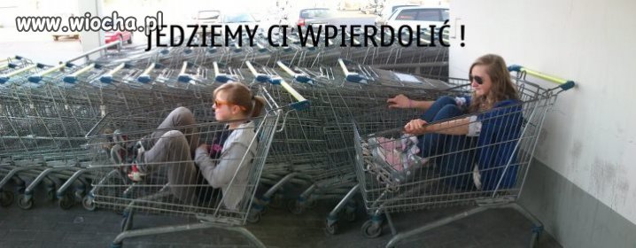 Gang w wózkach 