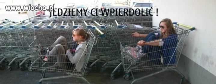 Gang w wózkach 