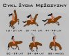 Co za życie!