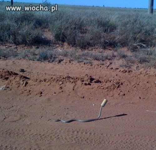 Fail