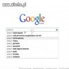 Tak określa nas Google 