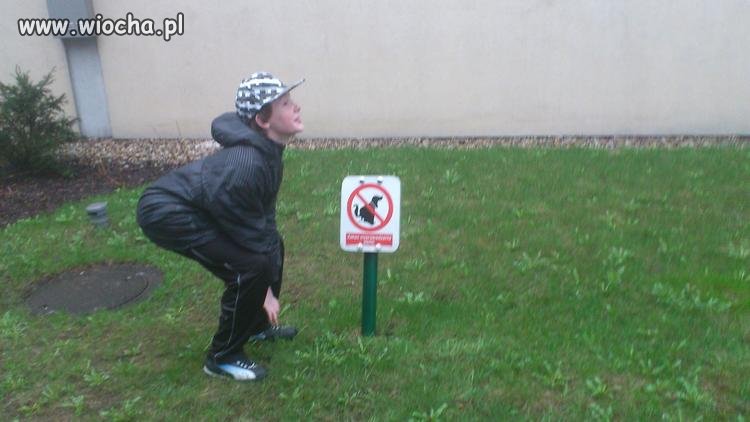 Hhaha sranie na trawie 