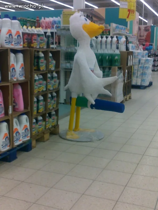 Duck - maskotka w galerii 