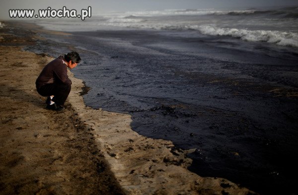 Czy chcesz spędzić wakacje nad Morzem Czarnym?