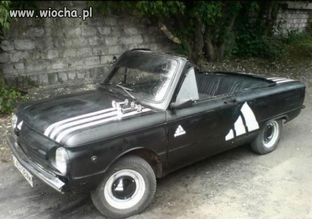 Samochód dla dresa