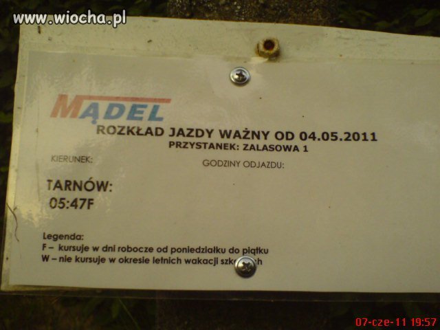 Przewoźnik nie zapewnia powrotu