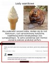 Tu komentarz jest zbędny.
