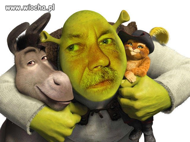 Nowa twarz filmowa