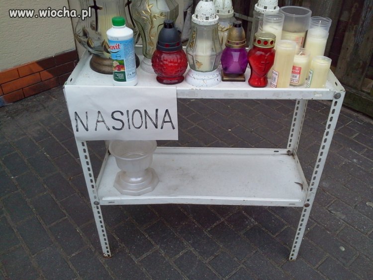 Nasiona 