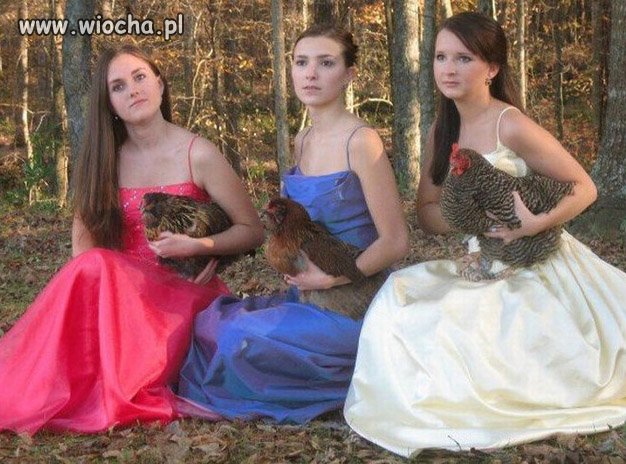 Oryginalność fotograficznych sesji ślubnych...