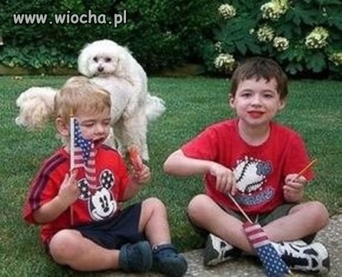 Za ojczyznę