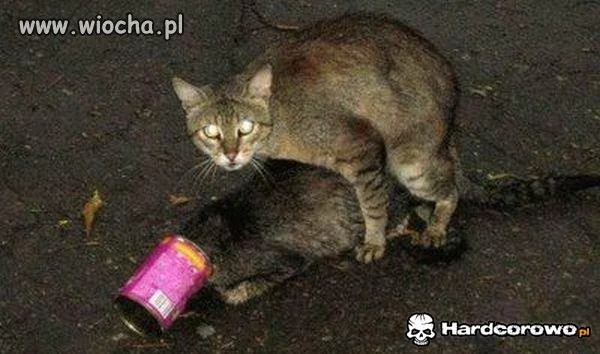 Worek na twarz...