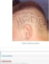 Fan HWDP