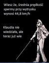 Fakty i 