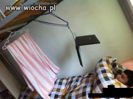 Sprytny leniwiec