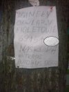 Fioletowe były