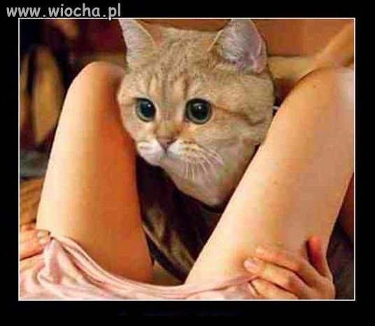 ''Ja Cipacze''...