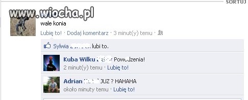 Jest sie czym chwalic 