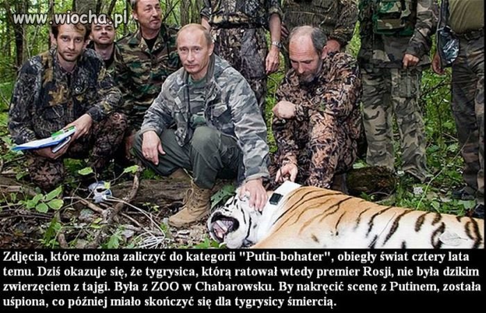 Wot, maładiec!