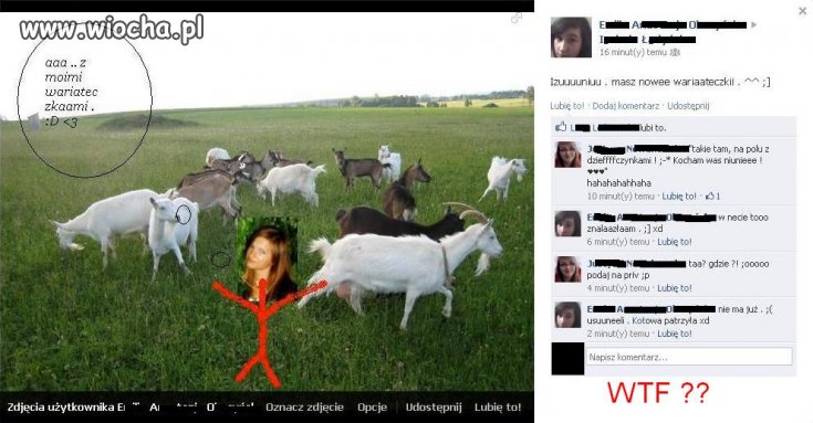 Mistrzyni Painta