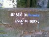 Nie mam pytań