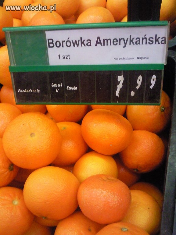 Nowoczesna