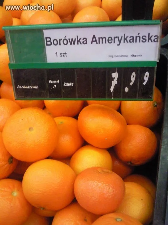 Nowoczesna