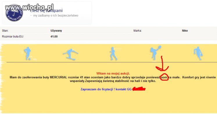 Polska Ortografia 