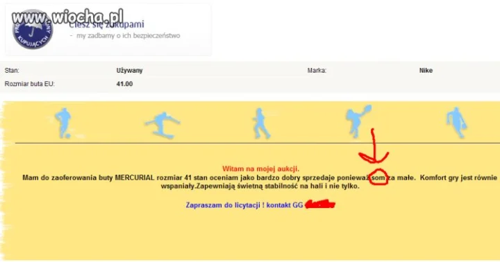 Polska Ortografia 