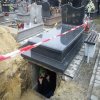 Głupota ludzka