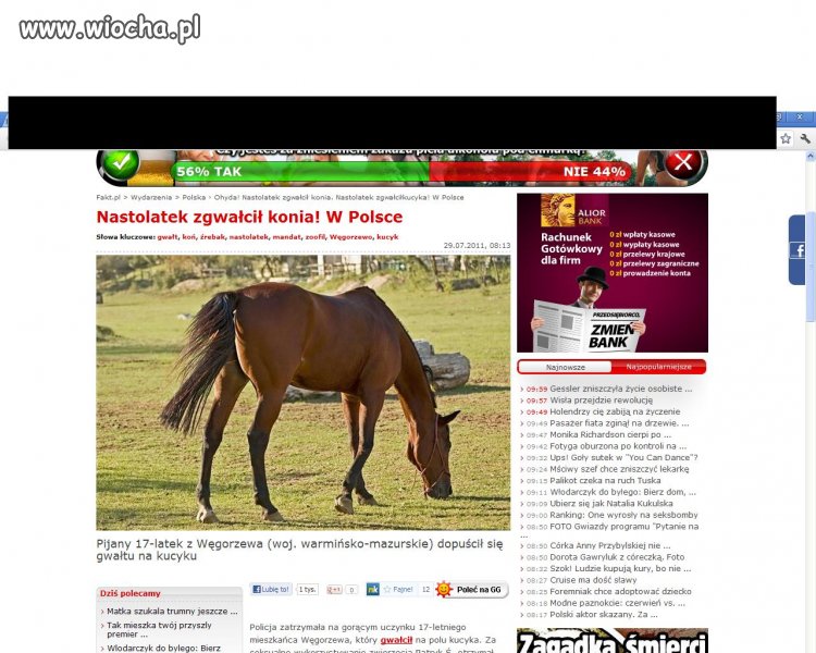 Nastolatek zgwałcił konia