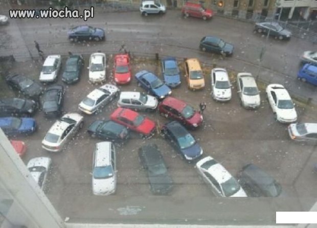 Perfekcja parkowania
