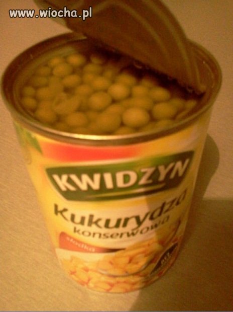Czy to jest kukurydza 