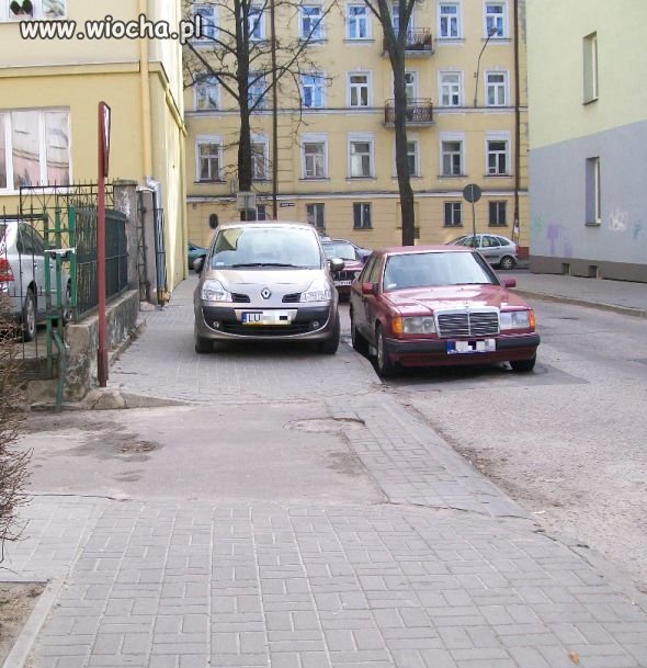 Mistrz parkowania