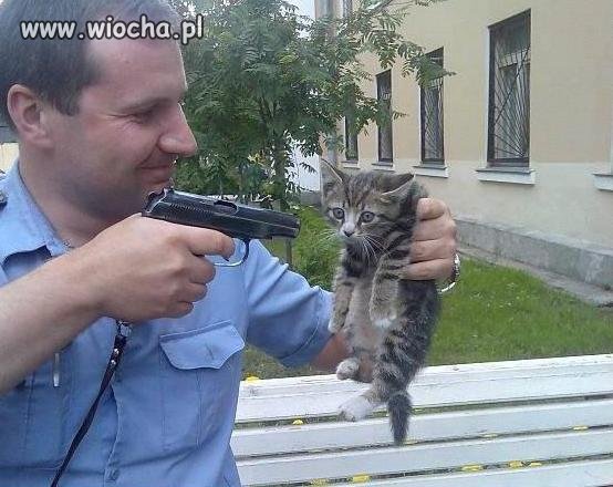 Władza ...